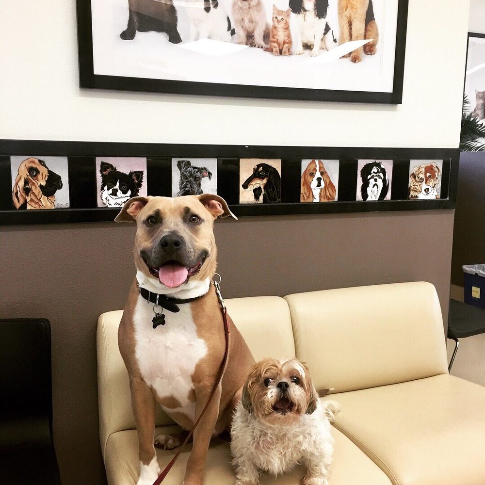Park Animal Hospital